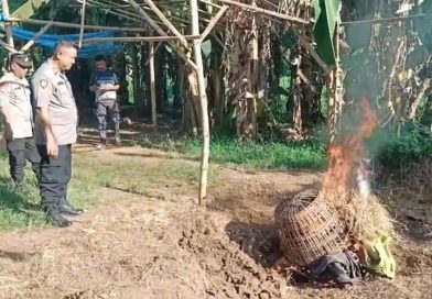 Polsek Grati Bongkar Arena Judi Sabung Ayam dan Cap Jie Kie