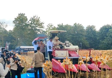Presiden Prabowo dan Kapolri Panen Raya Jagung Nasional di Tuban Perkuat Ketahanan Pangan