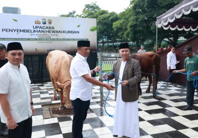 Iduladha 1447 H Polda Jatim Salurkan Ratusan Hewan Kurban untuk Masyarakat