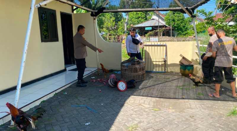 Respons Cepat Laporan Call Center 110, Polsek Keboncandi Gerebek Lokasi Dugaan Judi Sabung Ayam di Gondangwetan Respons Cepat Laporan Call Center 110, Polsek Keboncandi Gerebek Lokasi Dugaan Judi Sabung Ayam di Gondangwetan