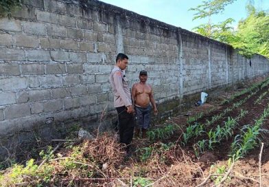 Bhabinkamtibmas Desa Karanglo Lakukan Pengawasan Lahan Binaan Polri Dukung Ketahanan Pangan