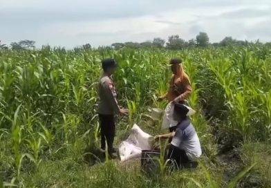 Dukung Ketahanan Pangan, Polsek Keboncandi Dampingi Kelompok Tani di Gondangwetan