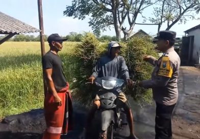 Bhabinkamtibmas Desa Wates Aktif Dampingi Petani, Dukung Program Ketahanan Pangan Nasional