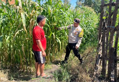 Bhabinkamtibmas Polsek Pohjentrek Aktif Awasi Lahan Binaan Polri, Dukung Swasembada Pangan Nasional