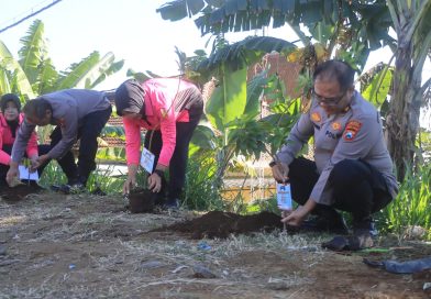 Peduli Lingkungan, Polres Probolinggo Tanam Puluhan Pohon Kado Hari Bhayangkara ke – 80