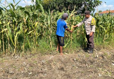 Dukung Asta Cita, Bhabinkamtibmas Polsek Pohjentrek Aktif Dampingi Kelompok Tani Binaan Polri