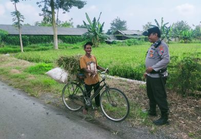 Dukung Swasembada Pangan, Bhabinkamtibmas Polsek Rejoso Aktif Dampingi Kelompok Tani Binaan Polri