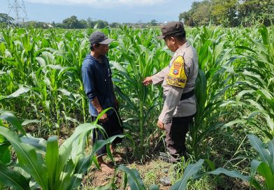 Dukung Asta Cita, Bhabinkamtibmas Polsek Pohjentrek Aktif Dampingi Kelompok Tani