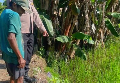 Bhabinkamtibmas Polsek Bugul Kidul Aktif Dampingi Petani, Perkuat Ketahanan Pangan Nasional