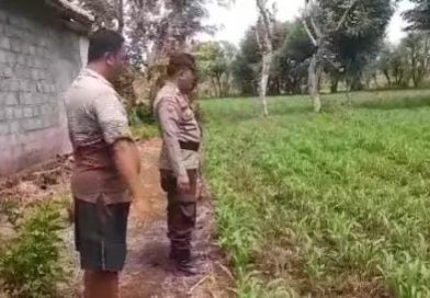 Bhabinkamtibmas Polsek Lekok Perkuat Sinergi dengan Petani Dukung Ketahanan Pangan Nasional