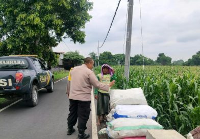 Dukung Swasembada Pangan, Bhabinkamtibmas Pohjentrek Cek Tanaman Jagung Bersama Petani